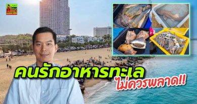 นายก PBTA ลั่นพร้อมเต็มร้อย งาน Pattaya Squid Fair 2023 @ชายหาดจอมเทียน ไฮไลต์ประมูลปลา-ปรุงเสิร์ฟทันที