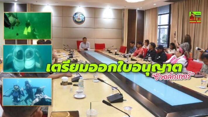 เมืองพัทยา วางมาตรฐานการประกอบการ “ซีวอล์กเกอร์” 19 ข้อ เตรียมออกใบอนุญาตให้ผปก.ต.ค.นี้